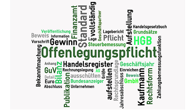 Die Offenlegungspflicht in Abgrenzung zur Veröffentlichungspflicht